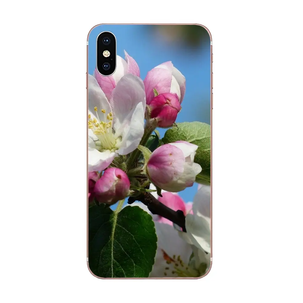 TPU Новая мода растения цветы зеленые уши кролика кактус для Xiaomi Redmi Mi 4 7A 9T K20 CC9 CC9e