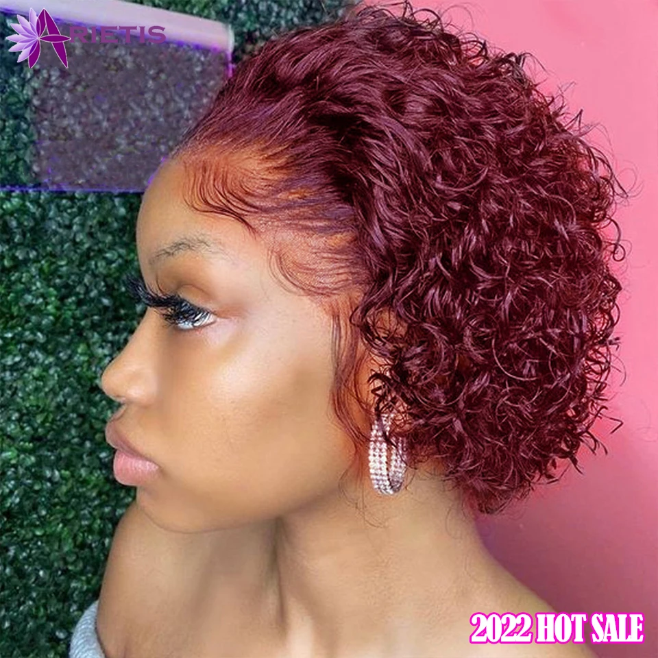 

Pixie Cut Wig Human Hair Short Curly Human Hair Wigs Cheap Human Hair Wig Only Need $40 13X1 Transparent Lace Wig For Women