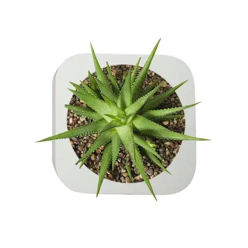 Clay Cement Silicone Mold Concrete Flower Pot Decorative Geometric Polygonal Succulent Plants Vase Mold Office Home Decoration