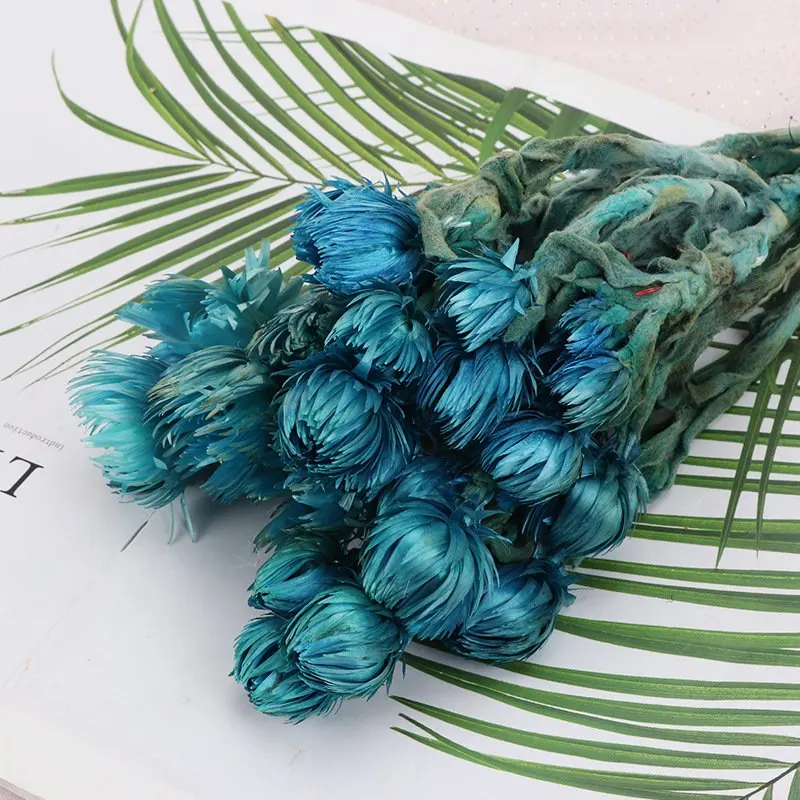 

2021 Newyear Wedding Desktop Home New Decoration High Quality Preserved Natural Dried Rock Flower Small Daisy Nnemone Snow Lotus