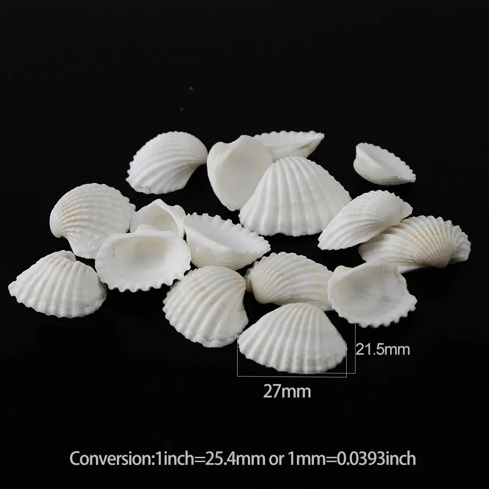 

30g/bag Nature White Shell Small Conch Nature Jewelry Craft Decor Natural Conch Shells Conch Corn Screw Wall Decoration