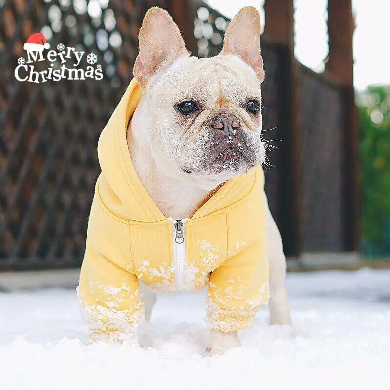 

FATHIN Dog Clothes Dog Sweater Fleece Dog Shirt French Bulldog Chihuahua Cat Shirt Pet Clothes XS-XXL
