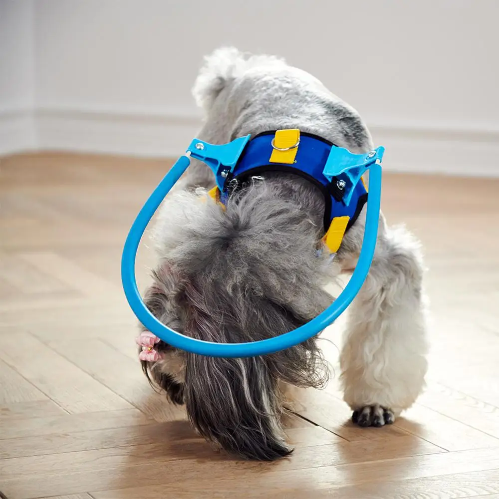 Практичный жилет для слепых собак защитный кольцо с больными глазами