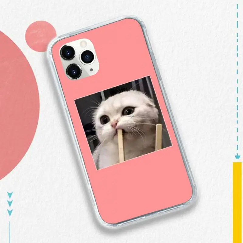 

cute cat art Phone Case for iPhone 11 12 pro XS MAX 8 7 6 6S Plus X 5S SE 2020 XR