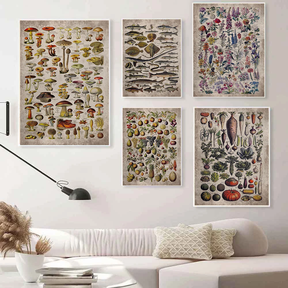 

Vintage education Botanical Retro Poster Flower Fish Mushrooms Canvas Oil Painting Wall Art Prints Wall Picture Home Decor