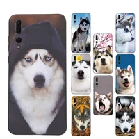 animal husky cute puppy dog phone case for huawei p9 p30 lite p30 20 pro p40lite p30 soft silicone capa