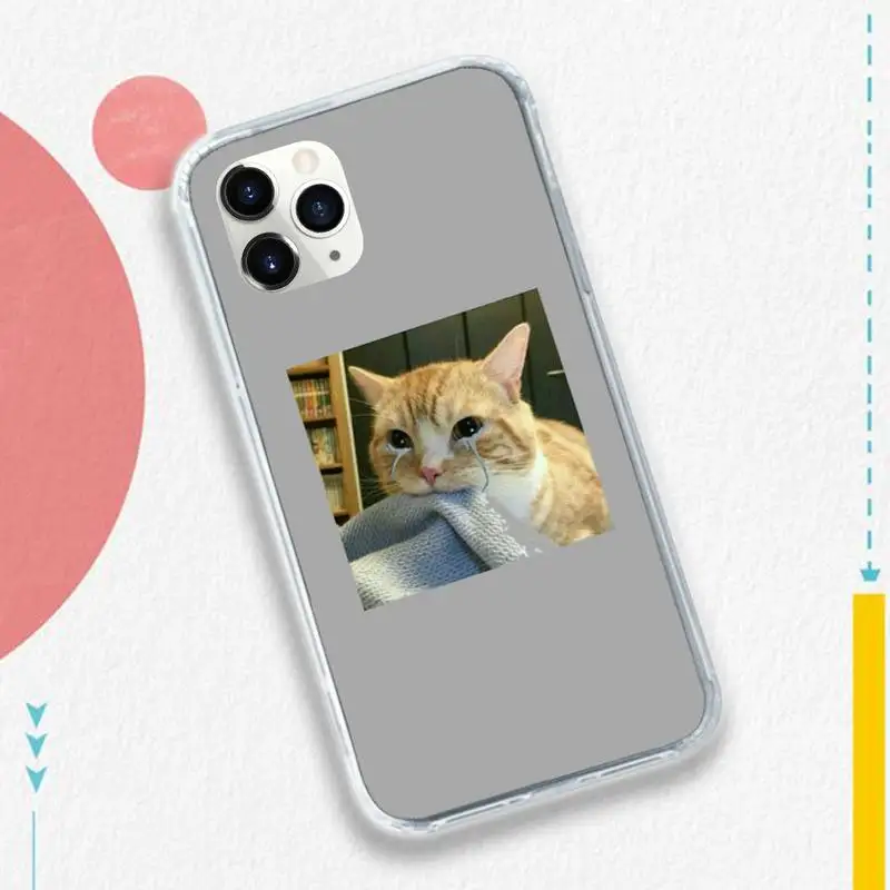 

Cat aesthetics animation cover Phone Case for iPhone 11 12 pro XS MAX 8 7 6 6S Plus X 5S SE 2020 XR