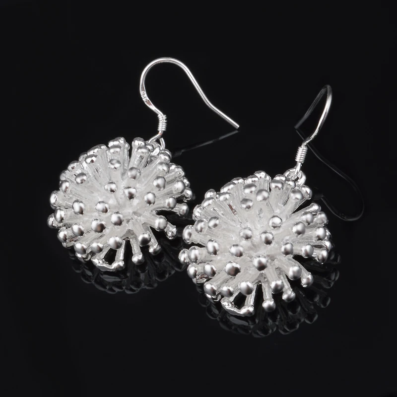 

New Silver Earrings Temperament Female Wild Fashion Tassels Long Starry Earrings Jewelry