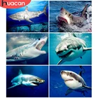 HUACAN алмазов картина животных акула Вышивка крестом полная дрель Алмазная вышивка море мозаика дома искусство украшения дома