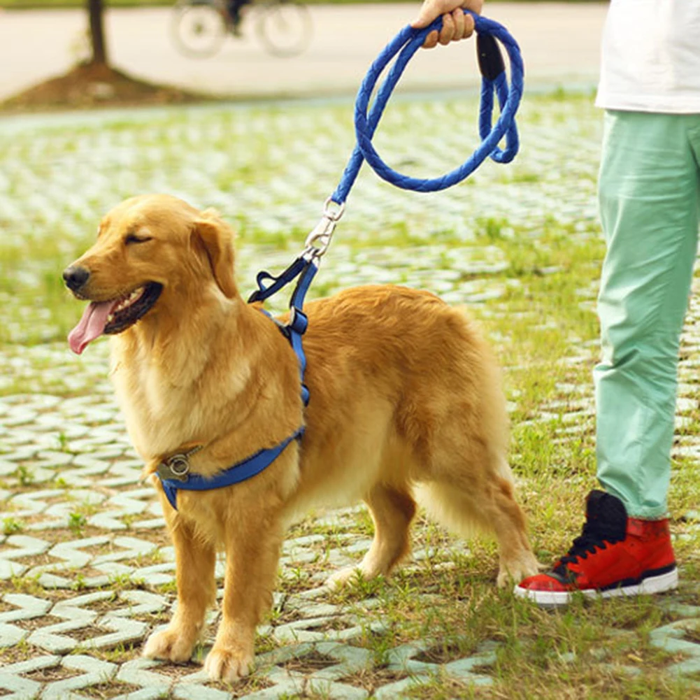 3 шт./компл. поводок для собак жгут с ошейником прогулочные товары щенков