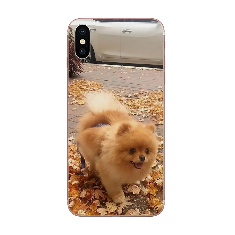 Pomeranian Puppy Dog 11 для Samsung Galaxy J1 J3 J4 J5 J6 J7 A10 A20 A20E A3 A40 A5 A50 A7 2016 2017 2018 мягкая новая мода |