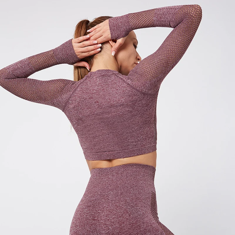 

Women Seamless Yoga Sets High Waist Gym Mesh Leggings Shirts Suit Long Sleeve Fitness Workout Sports Running Thin Yoga Sets