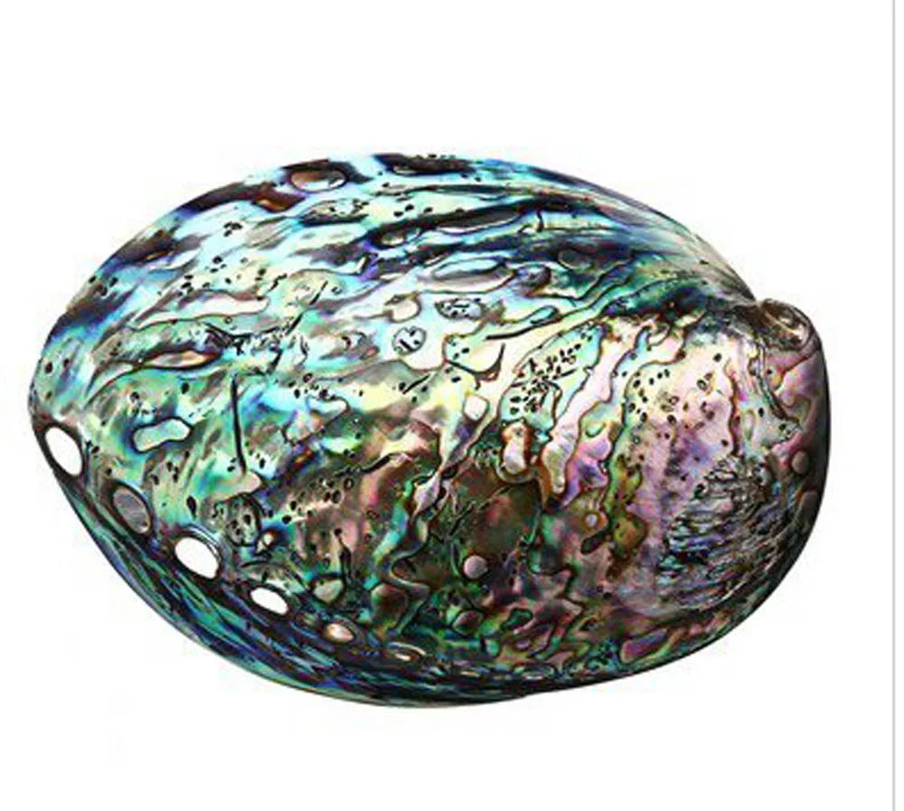 1 шт. коллекционные предметы 10-12 см | Украшения и аксессуары