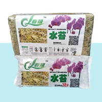 bag of 12l sphagnum moss garden supplies sphagnum moisturizing nutrition organic fertilizer for phalaenopsis orchid