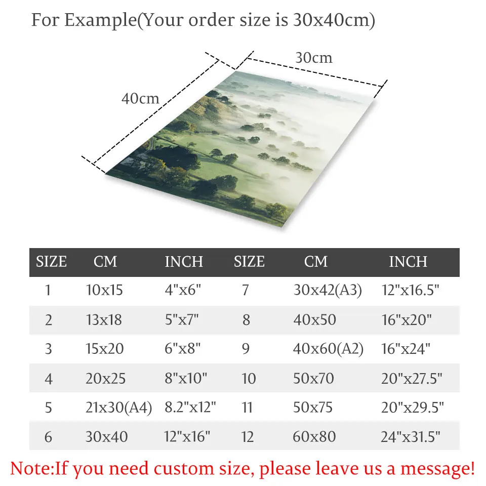 Постер на стену в скандинавском стиле Настенная картина с изображением леса