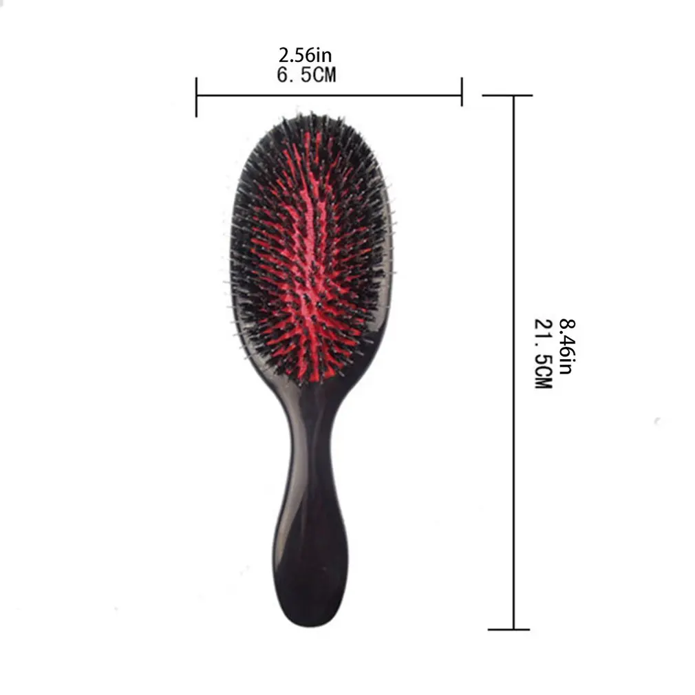 

Oval Boar Bristle Nylon Hair Comb Mini Anti-static Hair Scalp Massage Comb Hairbrush Salon Hair Brush Styling Tool