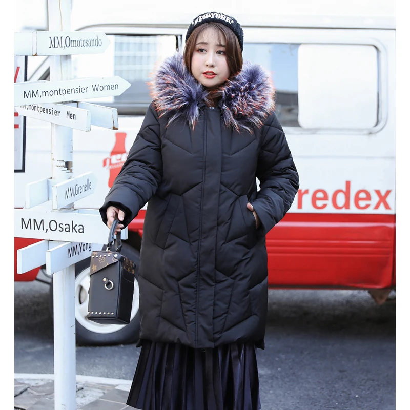 Новинка 2019 женские парки большие европейский размер зима-осень толстые куртки