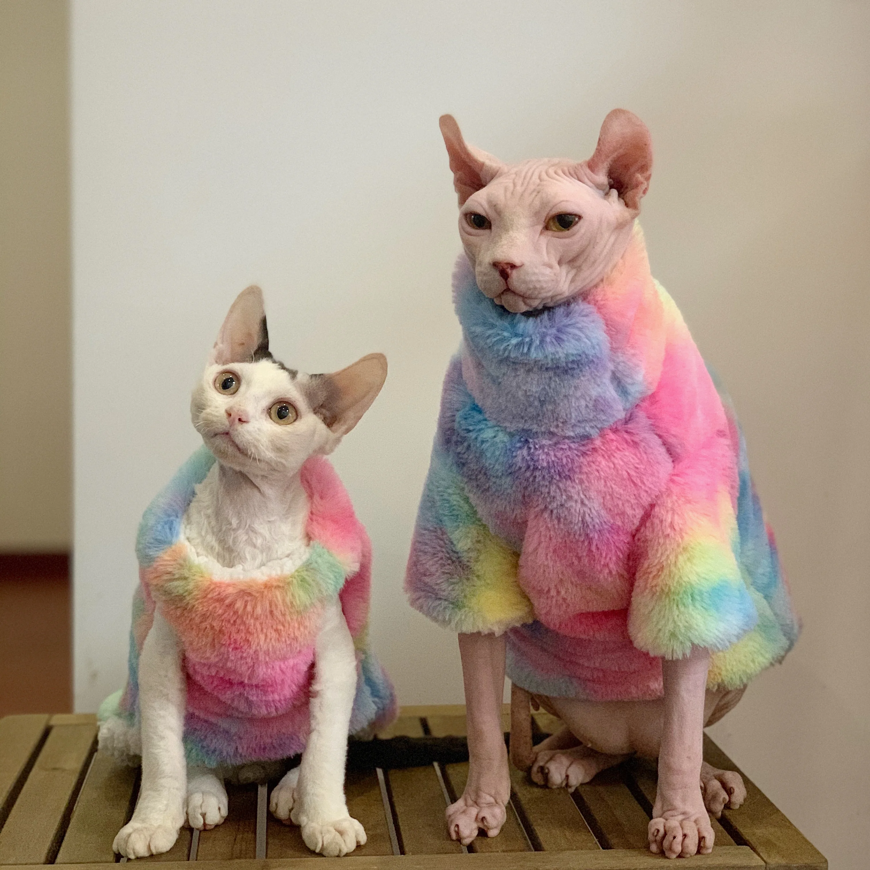 

Sphinx Devon Short Feet Hairless Cat Clothes Clothing Fashion Winter Thickening Warm Fur Rainbow Thick Coat Plush