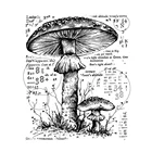 Прозрачный силиконовый штамппечать для скрапбукинга своими рукамидекоративный прозрачный штамп для фотоальбома A7375