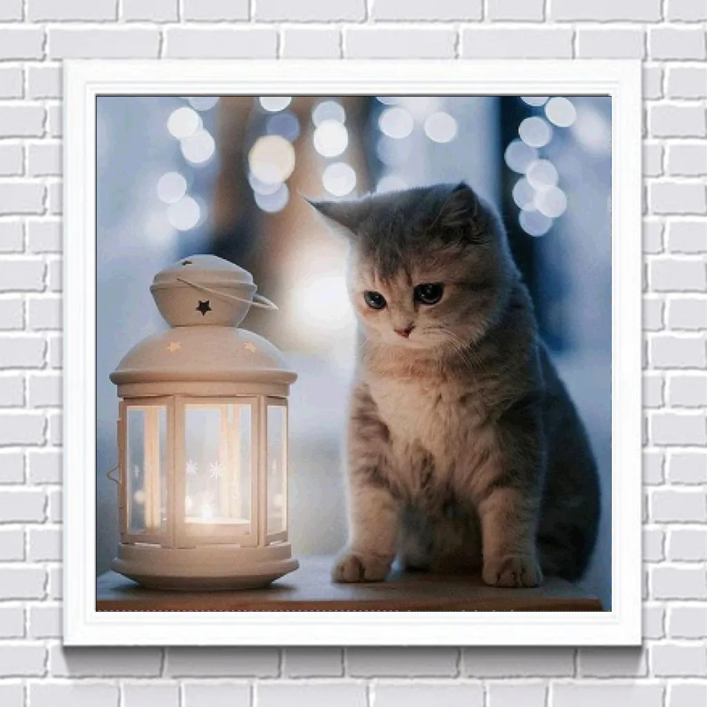 5D Сделай Сам Алмазная животное кошка вышивка крестиком мозаика Алмазный