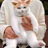 Изображение товара 3
