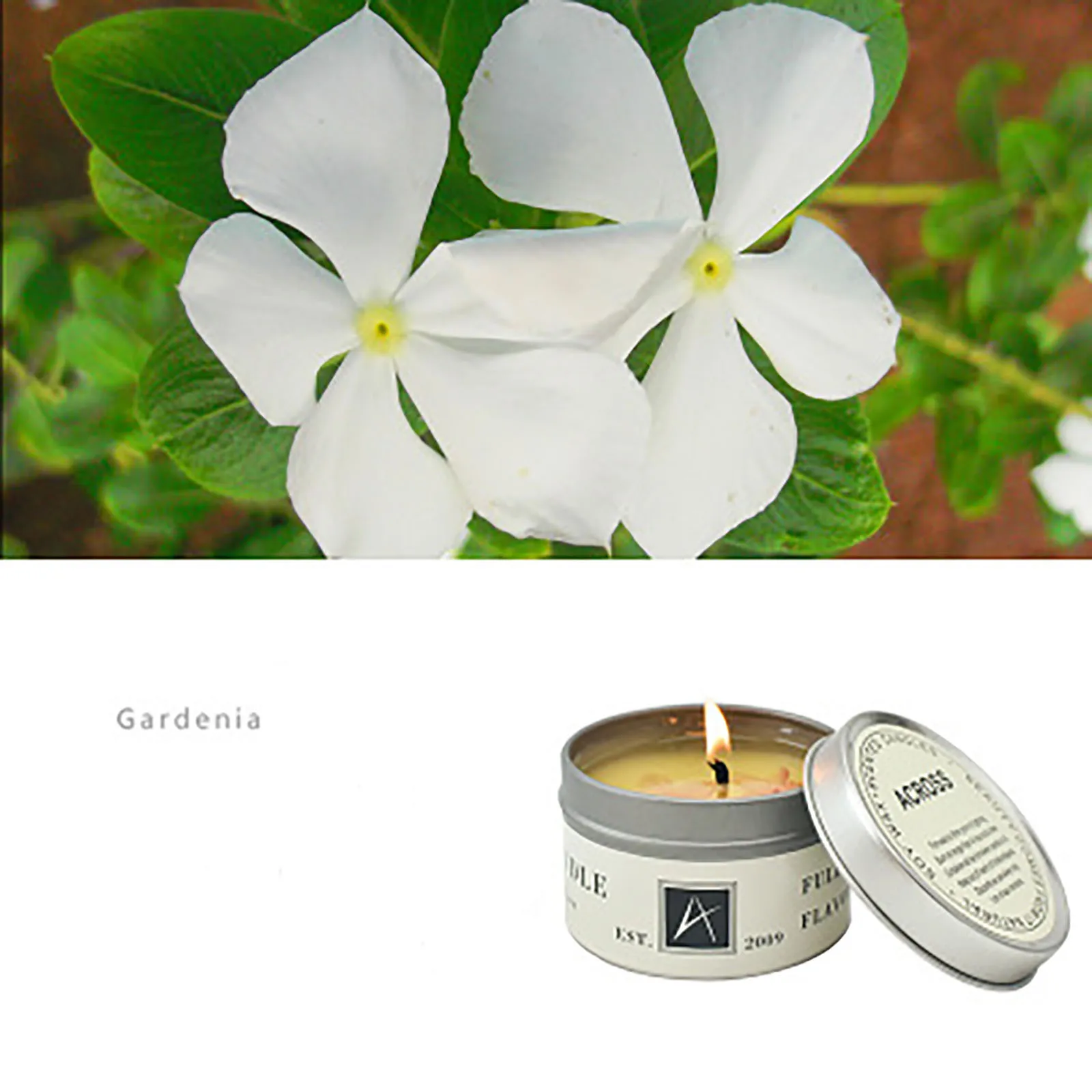 

Smoke Free Romantic Aromatherapy Candle Romantic Scented Candles Air Purification Aromatherapy Natural Soy
