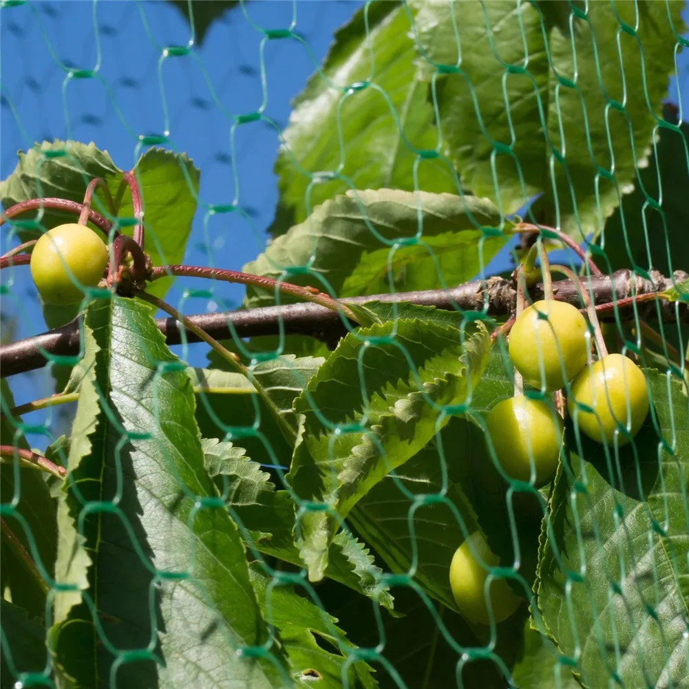 

Anti-bird net, garden protection net, reusable anti-bird protection net, 4*10M/4*15M two sizes are available, garden tools