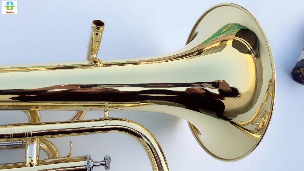 

Private & Custom Logo musical instrument sounds Advanced keypad Euphonium lifetime warranty