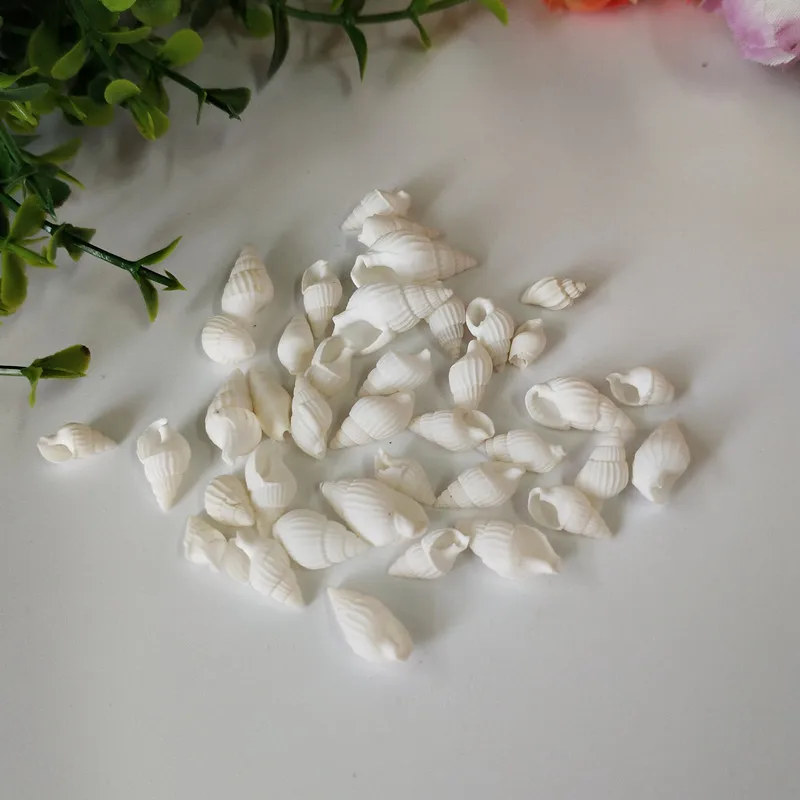 50 шт. декоративные ракушки для аквариума морские | Дом и сад