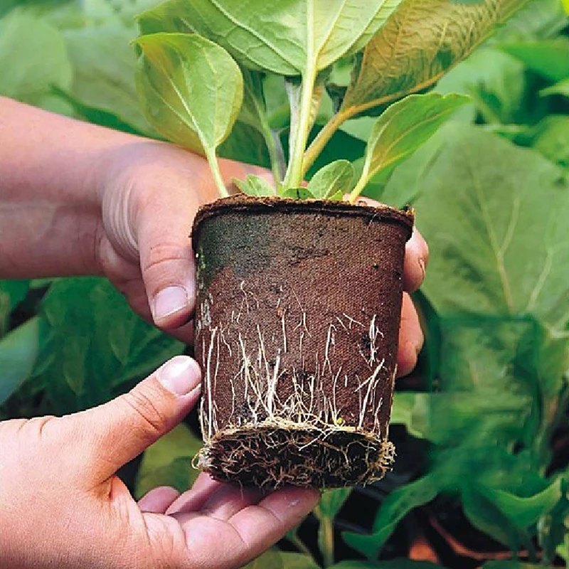 

10 Pcs Biodegradable Plant Seedling Pots with 50pcs Label Maker Tags for Home Garden Flowers Fruits Herbs Vegetable
