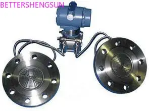 

265DR dual remote transmission flange level transmitter
