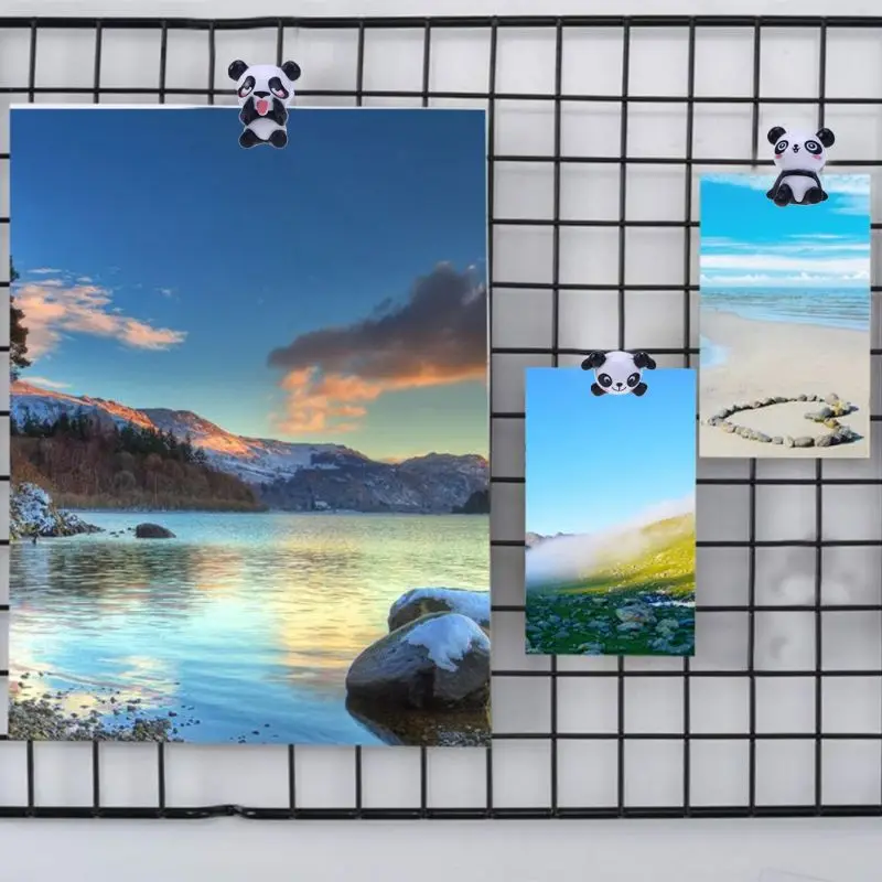 

Panda Shape Thumbtacks Cute Cartoon Drawing Pin Push Pins for Maps Calendar,8 Pc