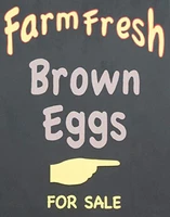 patisaner tin sign farm fresh eggs brown food rustic wall decor 8x12 inch