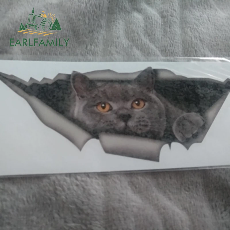 EARLFAMILY 15 см x 6 см Британский короткошерстный Забавный автомобильный стикер кот серый Кот Наклейка Водонепроницаемый 3D автомобильный Стайлинг стикер s украшение