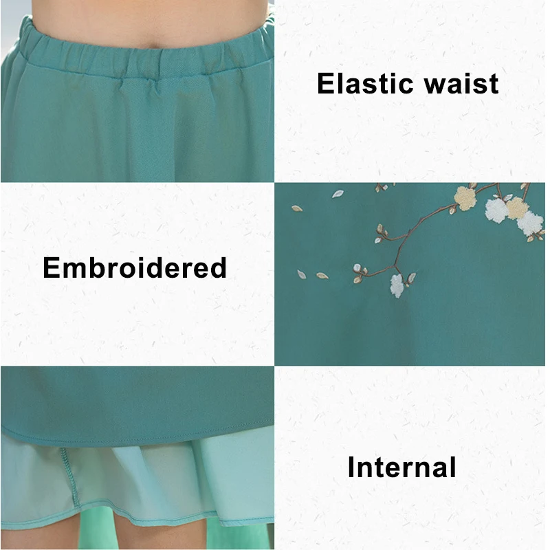 

Hanfu Women Skirts Embroidery Chinese Clothing Retro A-line Skirt Female Ethnic Style Big Hem Elastic Waist Performance Clothing