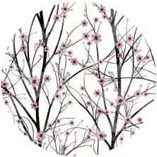 Colour 1 Popsoket мультфильм ручной держатель телефона с кольцом на палец попсокет Складная ручка подставка pipsocket для телефонов и планшетов карманная розетка - Цвет: Colour 1