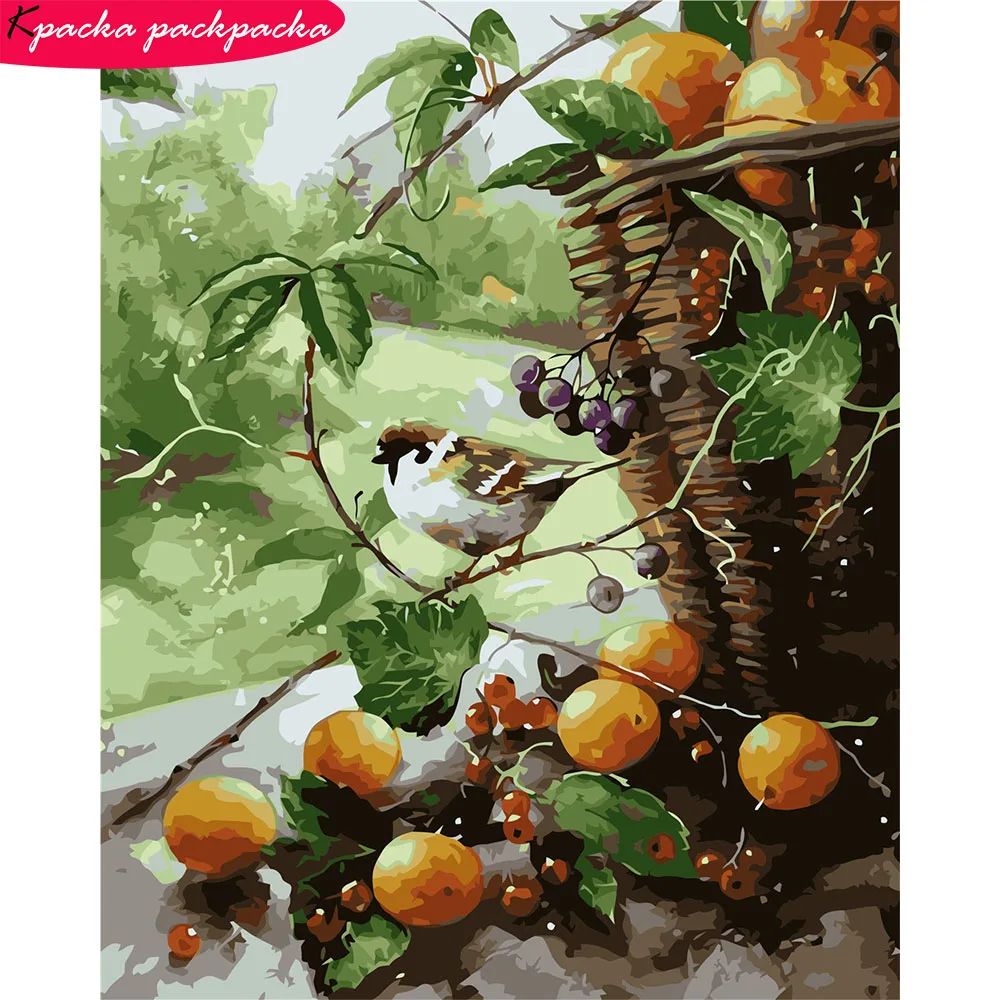 

Bird Painting By Numbers Kits For Adults VA-0281 40x50cm DIY Gift Home Decor Frameless Diff: 3 Stars