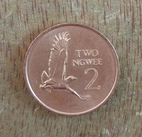 ΠΠ°ΠΌΡΡΠ½Π°Ρ ΠΌΠΎΠ½Π΅ΡΠ°, 21 ΠΌΠΌ, ΠΠ°ΠΌΠ±ΠΈΡ, 2 Egwee, Π°ΡΡΠΈΠΊΠ°Π½ΡΠΊΠΈΠ΅ ΠΌΠΎΠ½Π΅ΡΡ, ΡΡΠ°ΡΠ°Ρ ΠΎΡΠΈΠ³ΠΈΠ½Π°Π»ΡΠ½Π°Ρ, Π½Π΅ΡΠ°ΡΡΠ°Ρ, ΠΠ°ΠΌΡΡΠ½ΠΎΠ΅ ΠΈΠ·Π΄Π°Π½ΠΈΠ΅, ΡΠ΅Π°Π»ΡΠ½ΡΠΉ ΡΠ»ΡΡΠ°ΠΉΠ½ΡΠΉ Π³ΠΎΠ΄ 100% ΠΠ°ΠΌΡΡΠ½Π°Ρ ΠΌΠΎΠ½Π΅ΡΠ°, 21 ΠΌΠΌ, ΠΠ°ΠΌΠ±ΠΈΡ, 2 Egwee, Π°ΡΡΠΈΠΊΠ°Π½ΡΠΊΠΈΠ΅ ΠΌΠΎΠ½Π΅ΡΡ, ΡΡΠ°ΡΠ°Ρ ΠΎΡΠΈΠ³ΠΈΠ½Π°Π»ΡΠ½Π°Ρ, Π½Π΅ΡΠ°ΡΡΠ°Ρ, ΠΠ°ΠΌΡΡΠ½ΠΎΠ΅ ΠΈΠ·Π΄Π°Π½ΠΈΠ΅, ΡΠ΅Π°Π»ΡΠ½ΡΠΉ ΡΠ»ΡΡΠ°ΠΉΠ½ΡΠΉ Π³ΠΎΠ΄ 100%