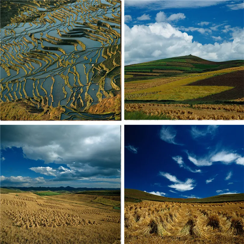 Виниловый фон Nitree для студийной фотосъемки природный пейзаж натуральные земли