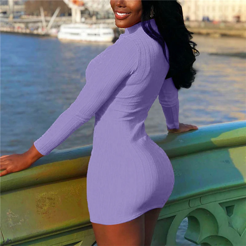 

New Vestidos Autumn Winter Women Sweater Dress Rib Solid Color Slim Turtleneck Long-Sleeved Casual Long Knit Dress