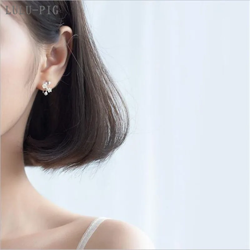 Лидер продаж висячие серьги LULU-PIG в форме сливы женские японском и корейском