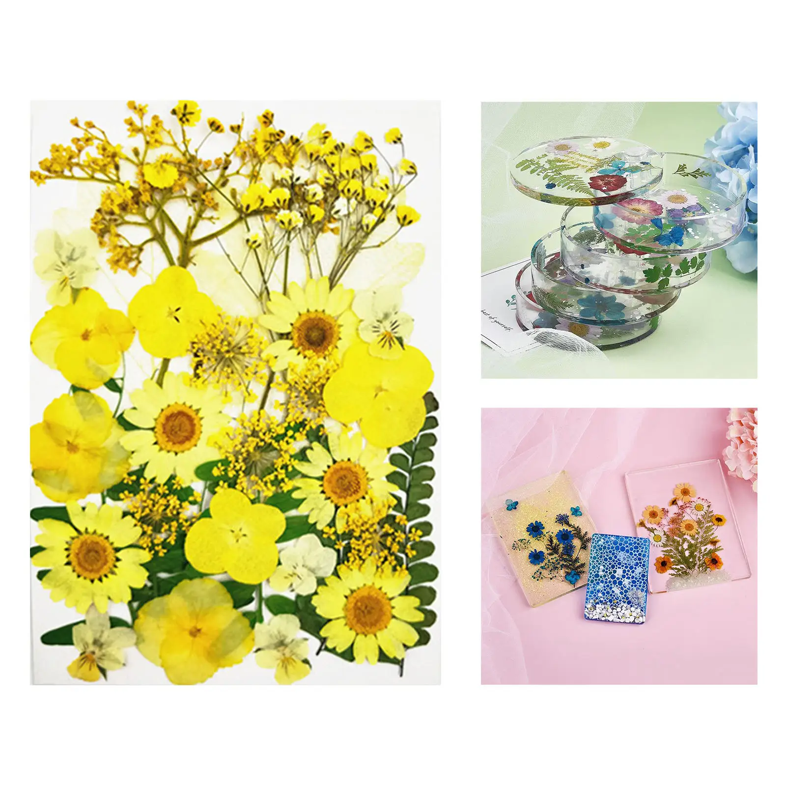 Настоящие натуральные бриллианты прессованные цветы листья лепестки для