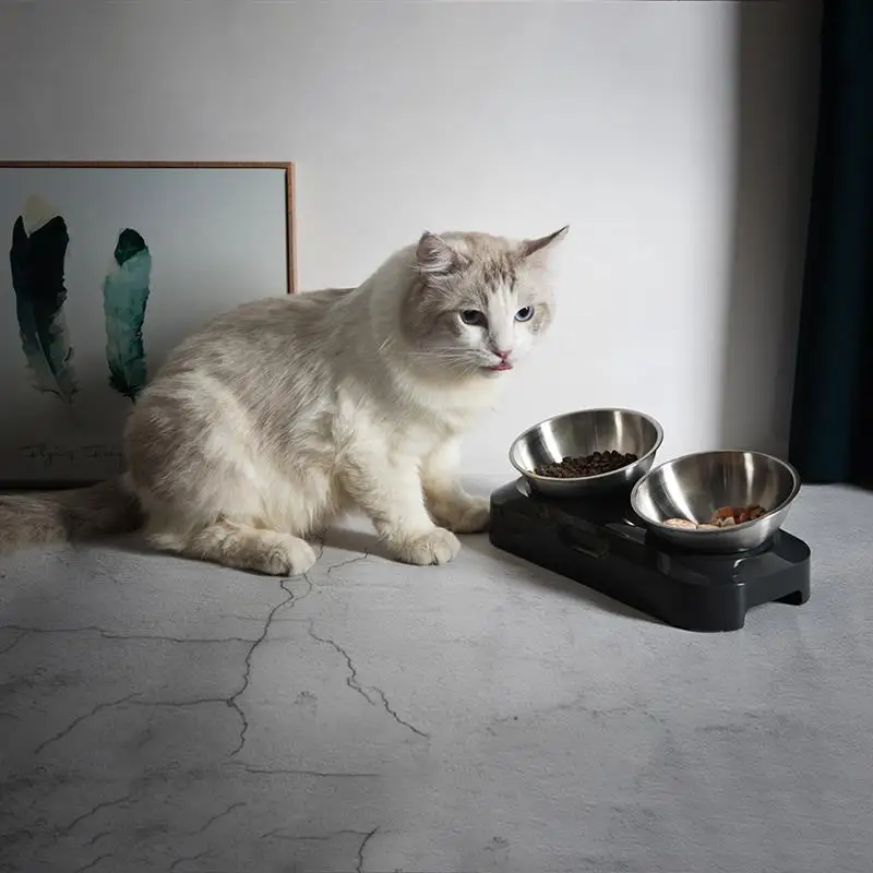 Стойте чаша 0 15 градусов регулируемый угол Нержавеющая сталь держатель и Пластик