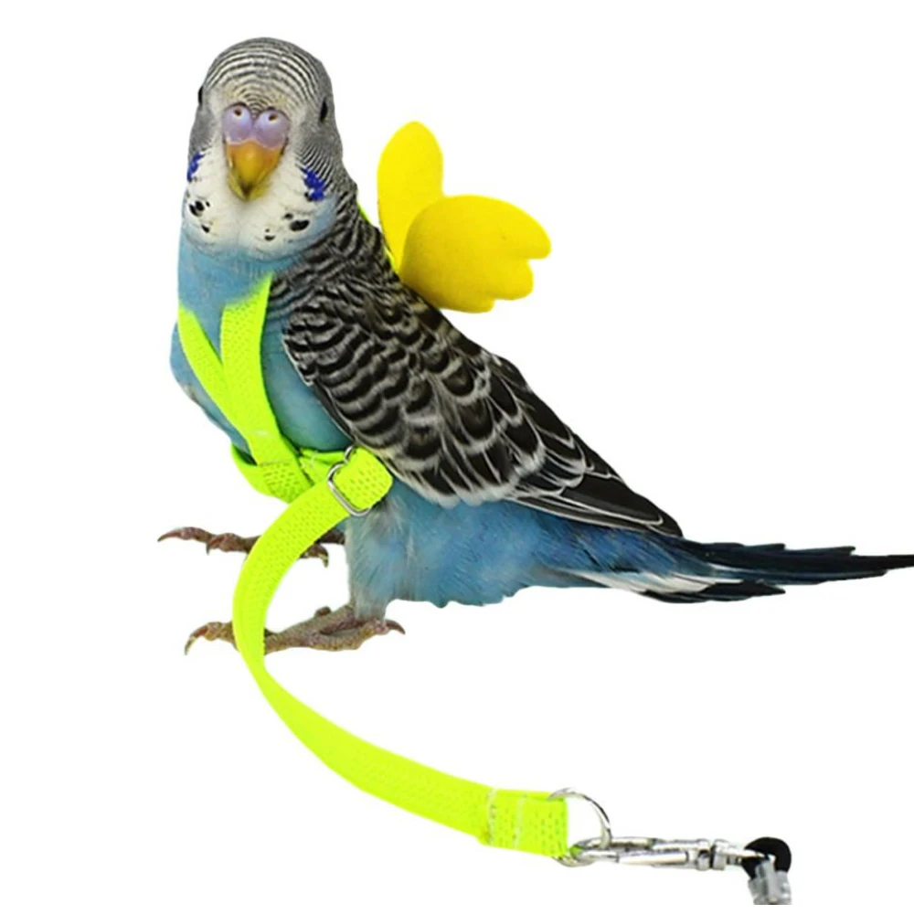 Pet Bird открытый Летающий поводок для попугая летающие плетеные ремни птиц