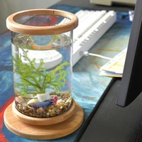 1pcs mini glass fish bamboo base fish decoration bottle decoration bowl ecological fish accessories aquarium rota q3t1