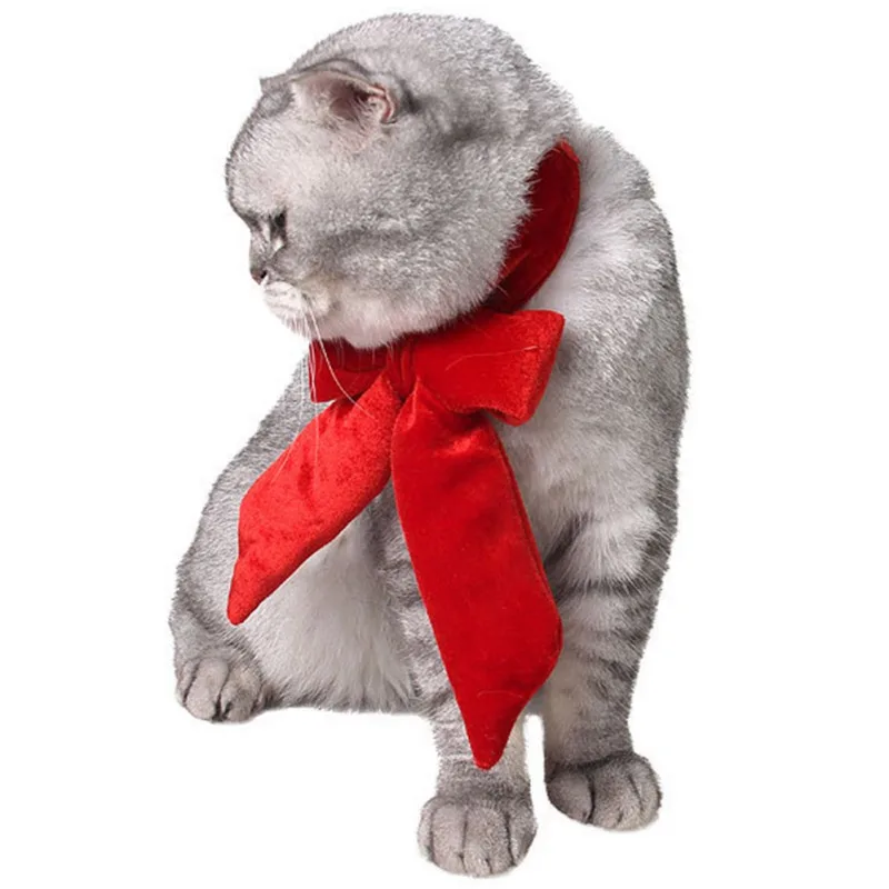 

Милый ошейник для кошек, Рождественский бант на Хэллоуин, костюмы для щенков, собак, галстук-бабочка для кота, праздничные украшения для дом...