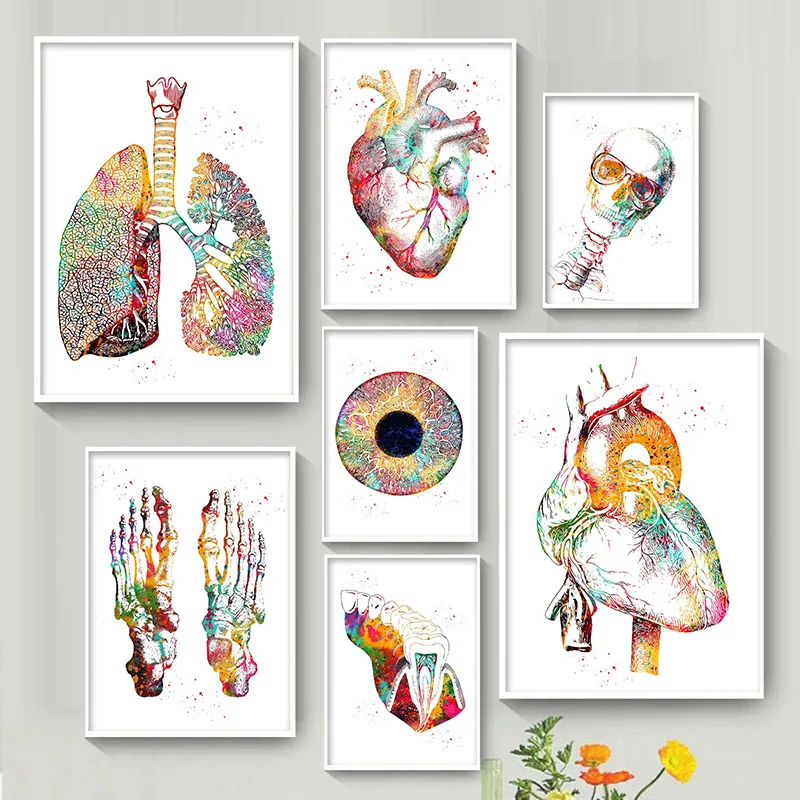 

Watercolor Human Heart Brain Lungs Anatomy Art Canvas Painting Anatomy Artwork Oil Poster Prints Wall Pictures Doctor Office Dec