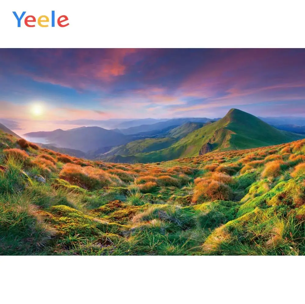 Фоны для фотосъемки Yeele с изображением пейзажа лужайки гор восхода солнца Ins