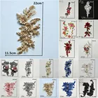 Лидер продаж, модная кружевная ткань с цветочной вышивкой, кружевной воротник, отделка декольте, швейная аппликация, аксессуары для рукоделия сделай сам