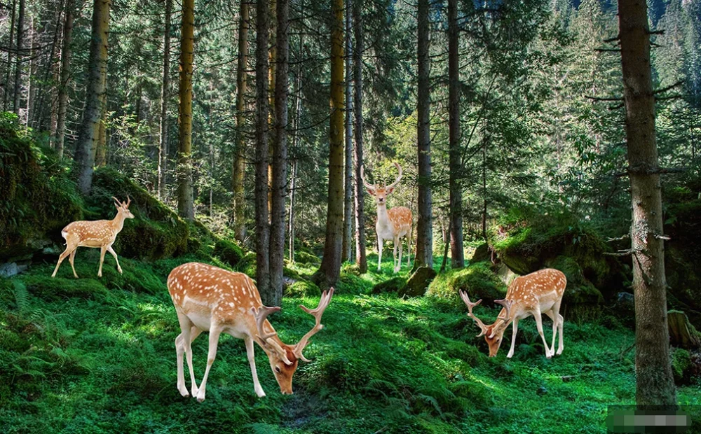 Пользовательские 3D обои росписи простой маленький свежий олень девственница лес